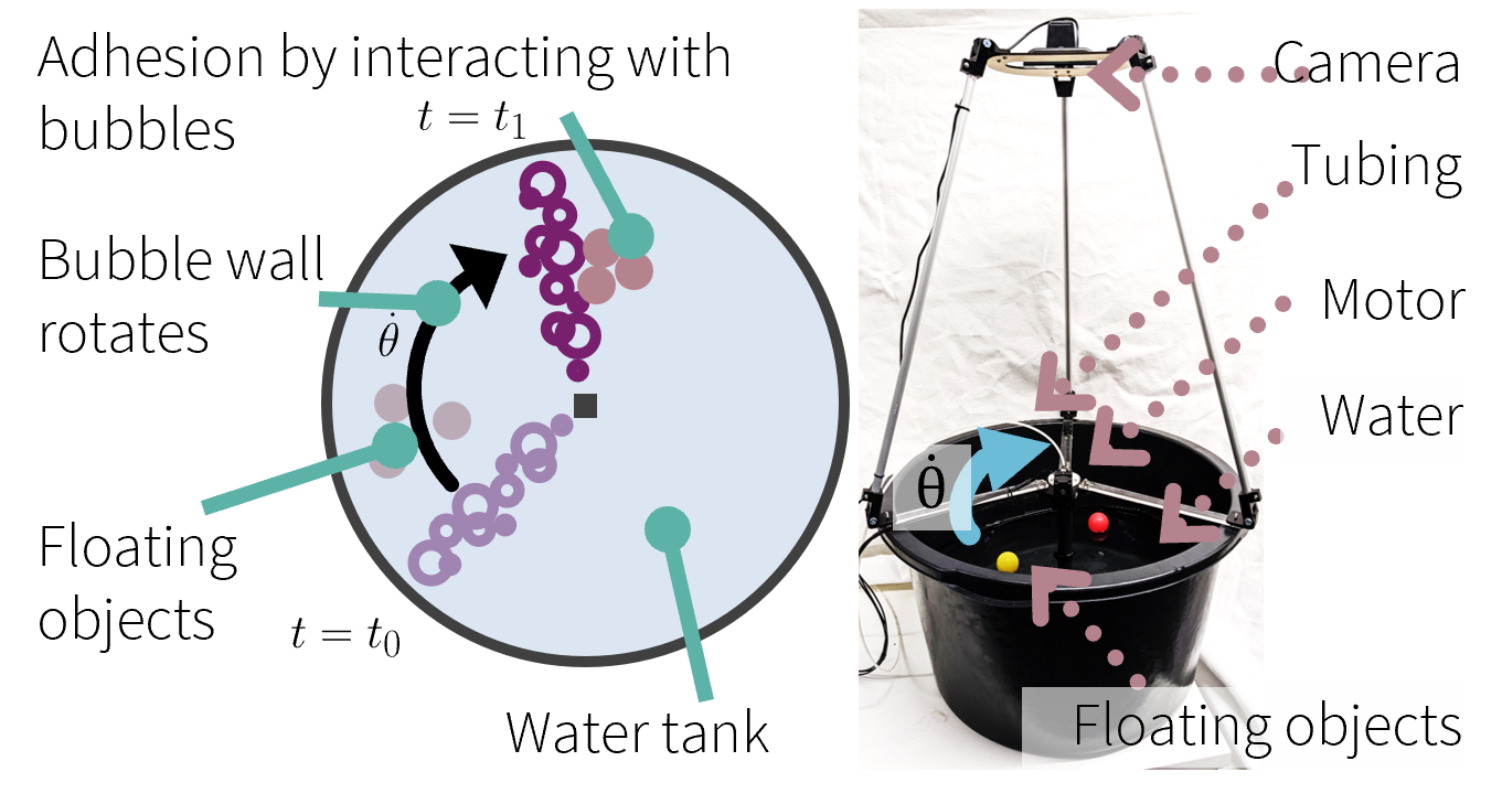 Aquatic morphogenesis-inspired robot experiment