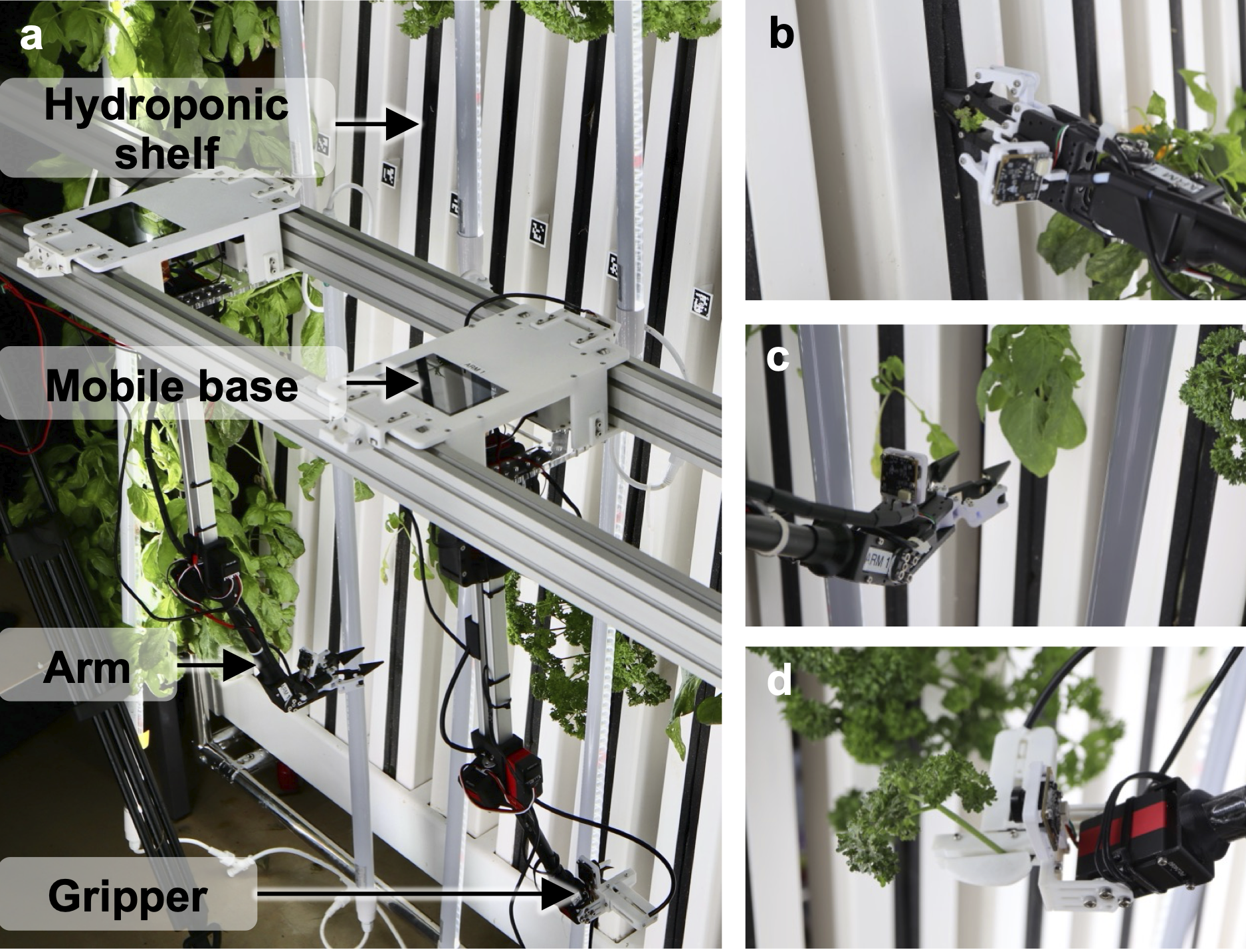Robotic base and modular end effectors