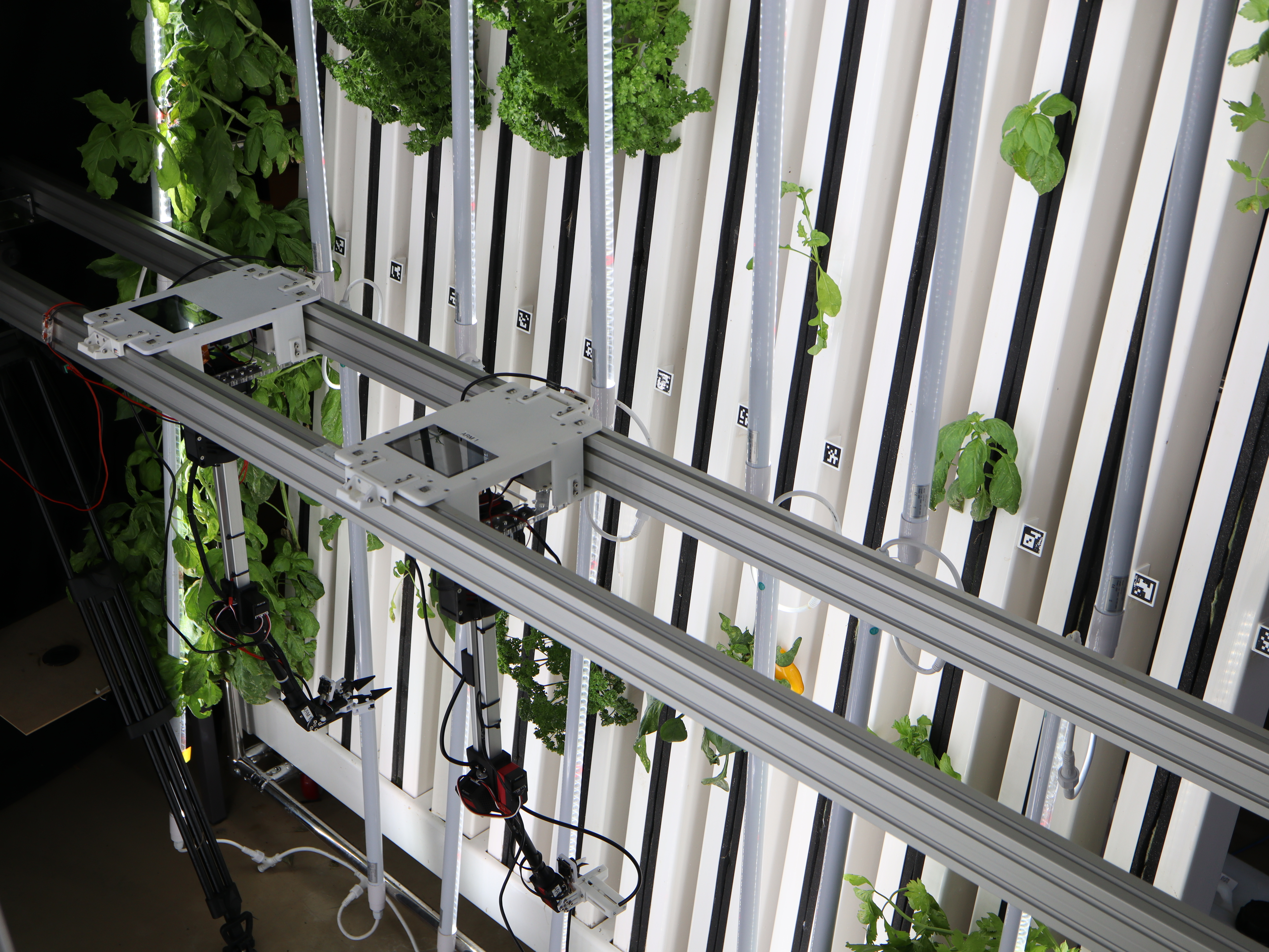 Vertical farming robot in a hydroponic environment