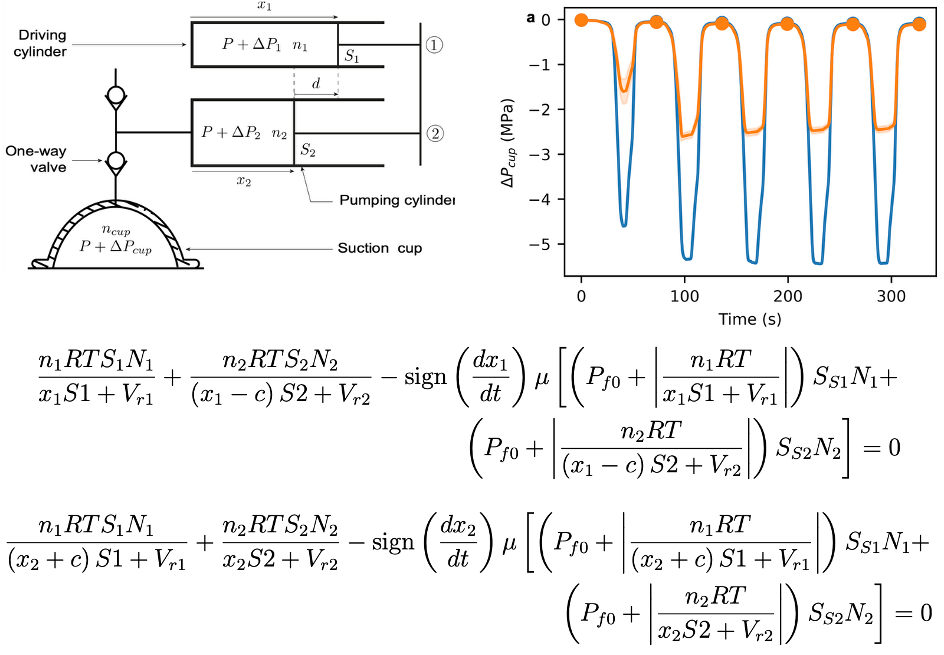 Thermodynamic model and schematic of the whale-tag pump