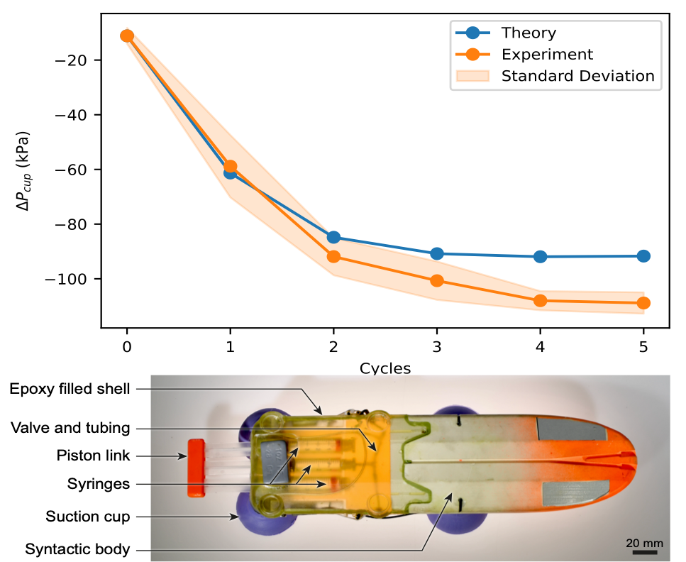 Experimental results for whale-tag vacuum regeneration